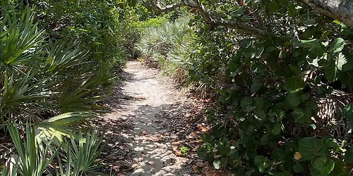 Dune to Lagoon Guided Hike