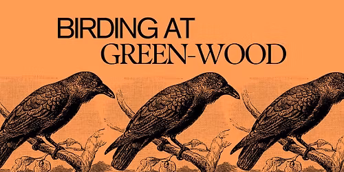 Birding at Green-Wood