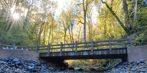 Joint Permit Applications: Navigating Oregon\u2019s Environmental Permitting
