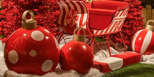 LSB Christmas\/ Holiday Party