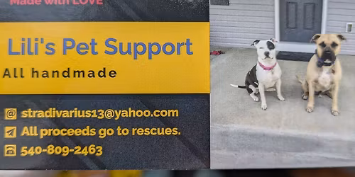 Lili's Pet Support Christmas sale 