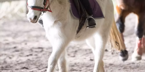 Half Day Fun Day for Non-Horse Owners