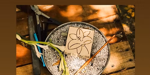 Festival de Claridad