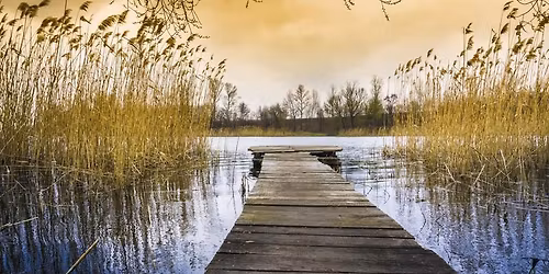 Photo Critique Class