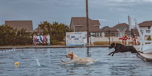 Puppy Plunge!