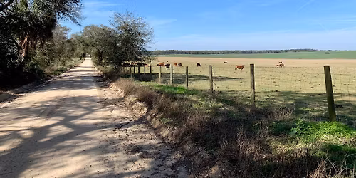 La Fleche Willistonne