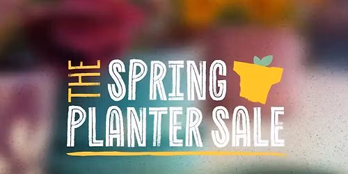 Spring Planter Sale