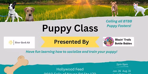 Big Kid Foster Puppy Training Class