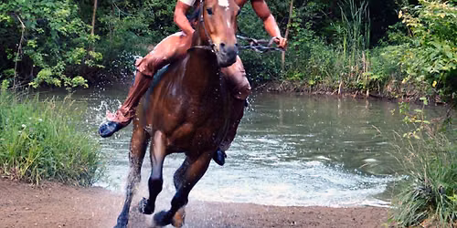 Tecumseh!