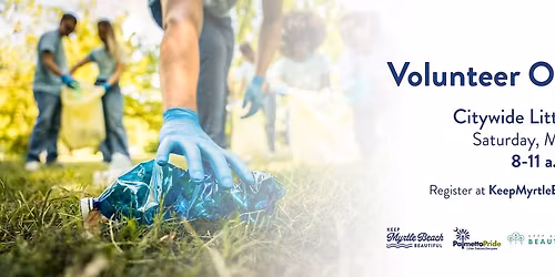 Citywide Litter Pickup