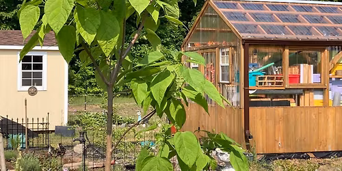 Introduction to Beekeeping 