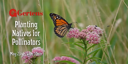 Planting Natives for Pollinators at Gertens