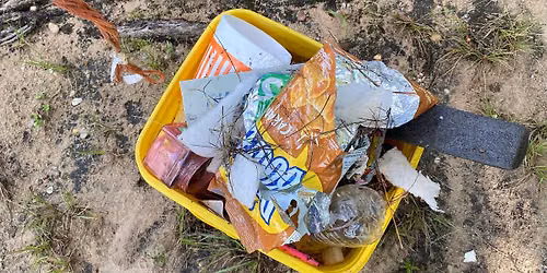 Sanders Beach Cleanup
