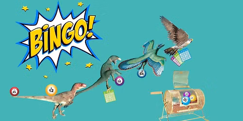 1:00 P.M. Dinobird B-I-N-G-O for Kids!