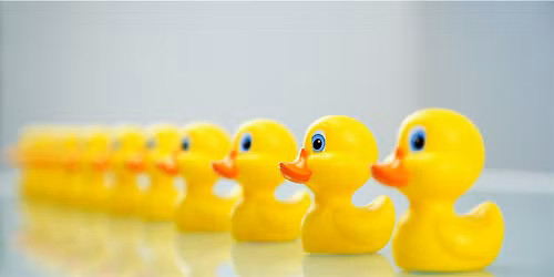 You've written a will but are all your Ducks in a Row?