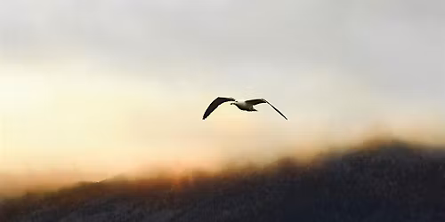 Jeanne d'Arc - Say Something