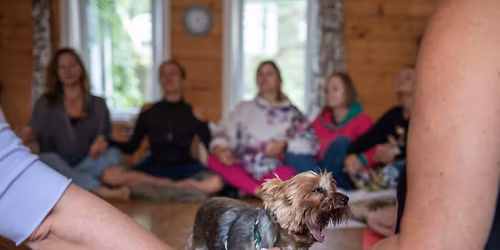 \u2728 Przebudzenie Smoczycy  - Obecno\u015b\u0107 \u2728Wprowadzenie do mocy serca, wewn\u0119trznej wolno\u015bci i prawdy