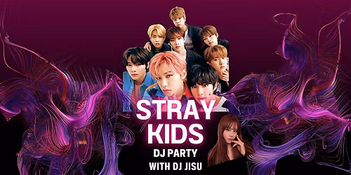 DJ Party - Stray Kids
