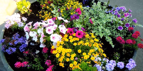 Master Gardener Spring Plant Sale