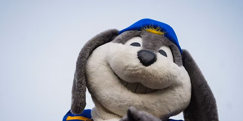 Jackrabbit