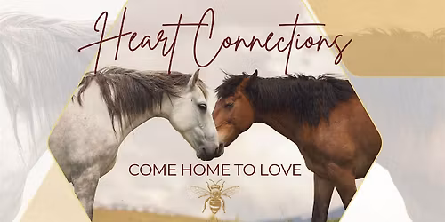 Heart Connections Day Retreat