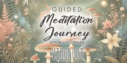 Guided Meditation Journey at Vibology
