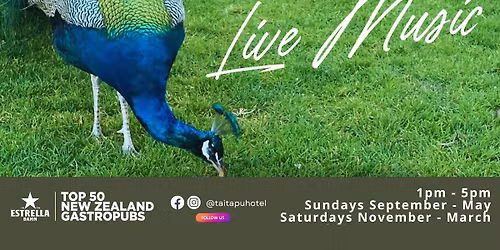 LIVE Music in the Beer Garden with Mandi Miller