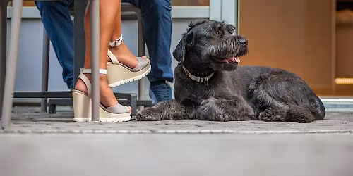 *FLASH SALE 35%* As Seen on VH1 | Blind Date Matchmaking in Atlanta