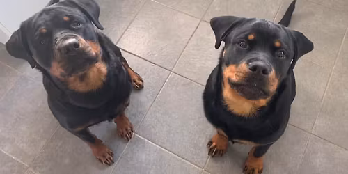 NNA Foundation Trial - Hockley Community Centre