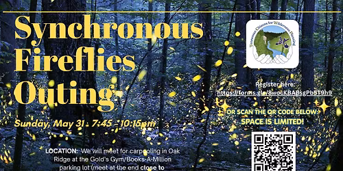 Synchronous Fireflies Outing - May 31