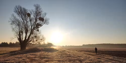 Lone Willow Marathon