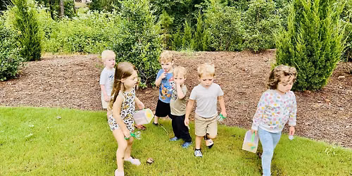 Eco-Adventure Summer Camp - Little Breaks