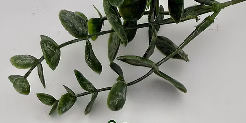 GNO-Holiday Bracelet