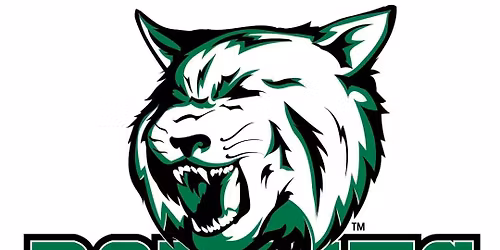 HLHS Alumni Friendsgiving Party!