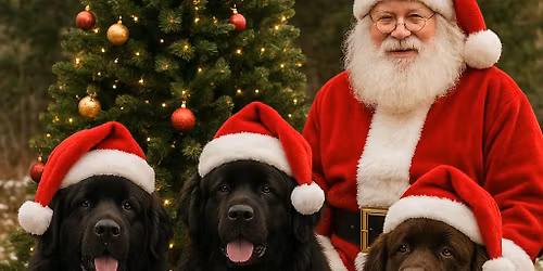 M\u00e4rgade K\u00e4ppade j\u00f5ulujalutusk\u00e4ik Viljandis