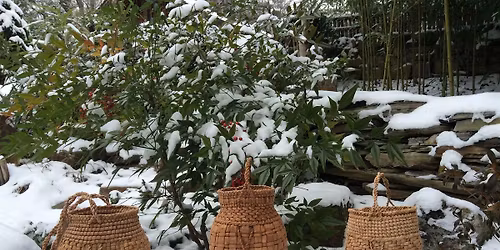 Willow Bark Basketry