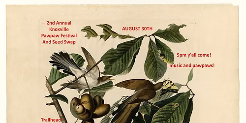 2nd annual Knoxville Pawpaw and seed swap Festival