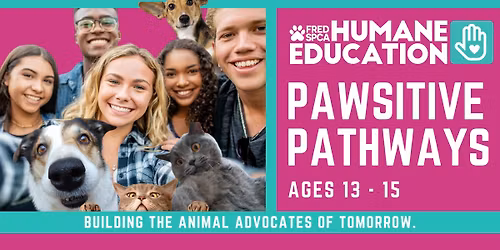 Pawsitive Pathways: DECEMBER Ages 13 - 15