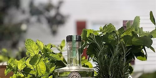 Forage Your Own Gin with McClintock Distilling