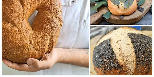 Ancient Roman Breads: A Talk and Tasting with Giovanni Di Sarno