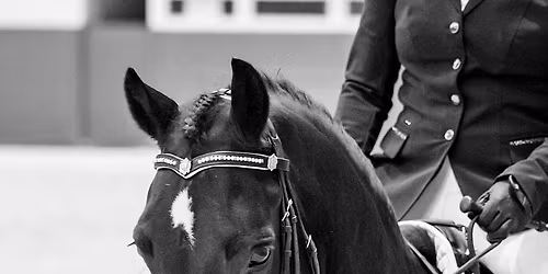 Transitions Inc Unofficial Dressage Leaderboard  Series Event 2