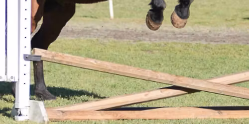 Advanced Horse camp
