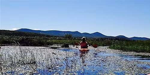 Stillwaters  ~ Mindfulness Meditation for the Busy Mind 2026