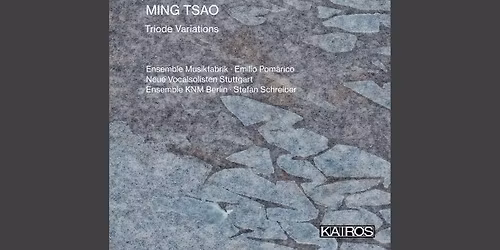 Neue Vocalsolisten Stuttgart