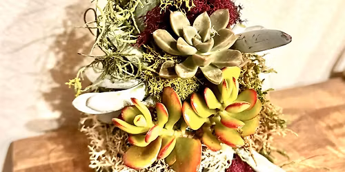 A Starred Succulent Tree DIY