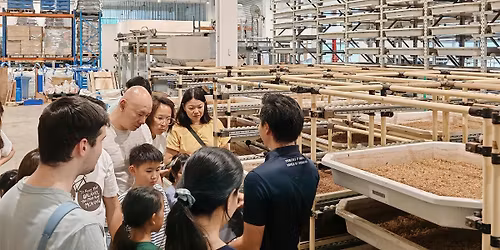 90mins Insect Farm Tour: From Food Waste to Wonder!