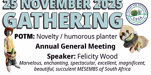 CSSA AGM and November Gathering 2025