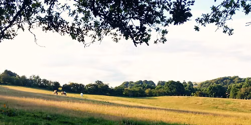 Hythe 6 mile walk