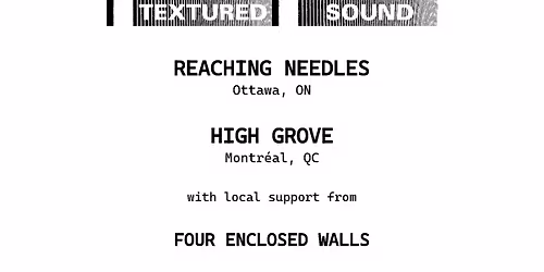 Noise night ft. REACHING NEEDLES (ON) \/ HIGH GROVE (MTL) \/ FOUR ENCLOSED WALLS \/ K.M. TOEPFER