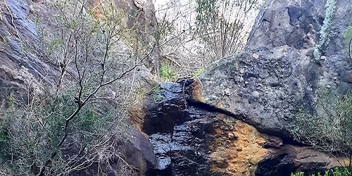 Beginners Hike - Hale Conservation Park